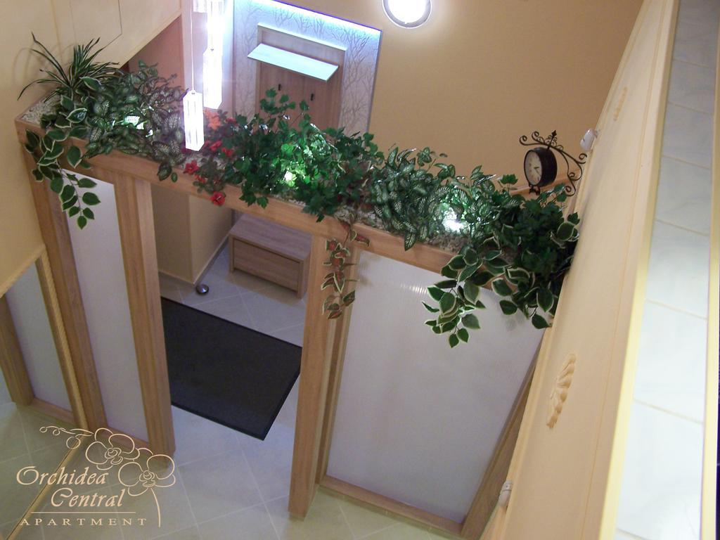 Orchidea Central Apartment بودابست المظهر الخارجي الصورة